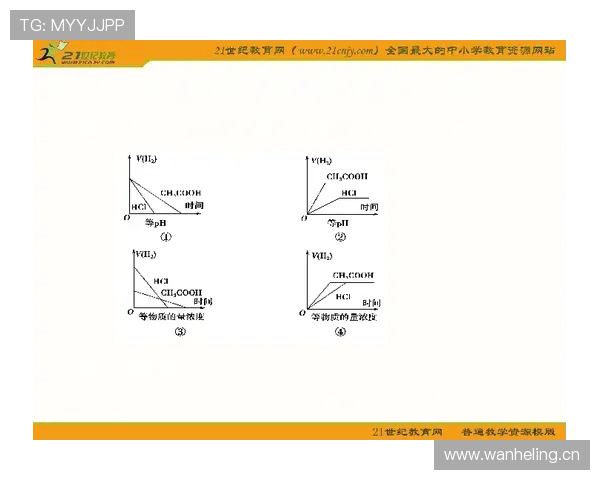 罗德里：攻防均衡的现代6号位模板解析