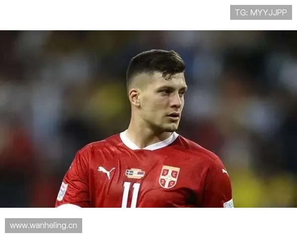 弗拉霍维奇禁区统治力解析：传统9号模板如何体现